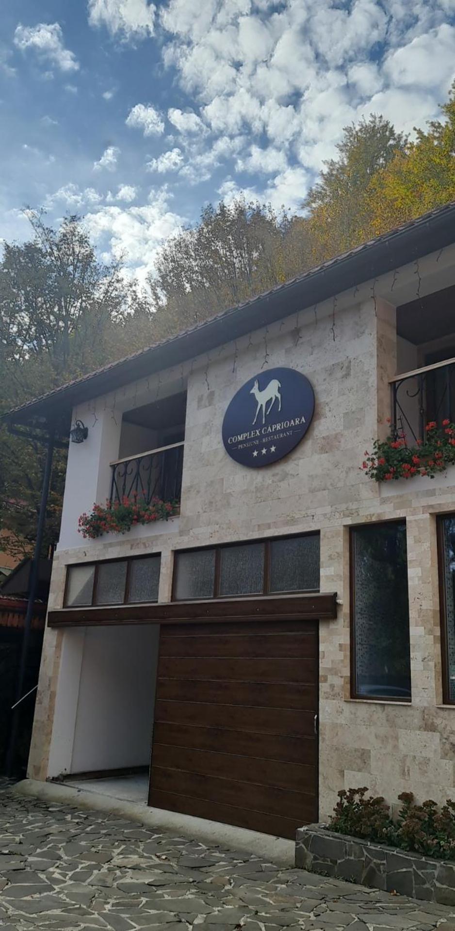 Complex Turistic Caprioara Hotel Baia Mare Exterior photo